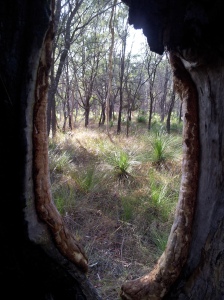The view through the 'window'