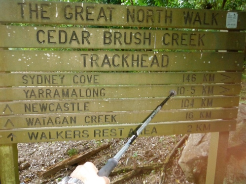Cedar Brush Trackhead